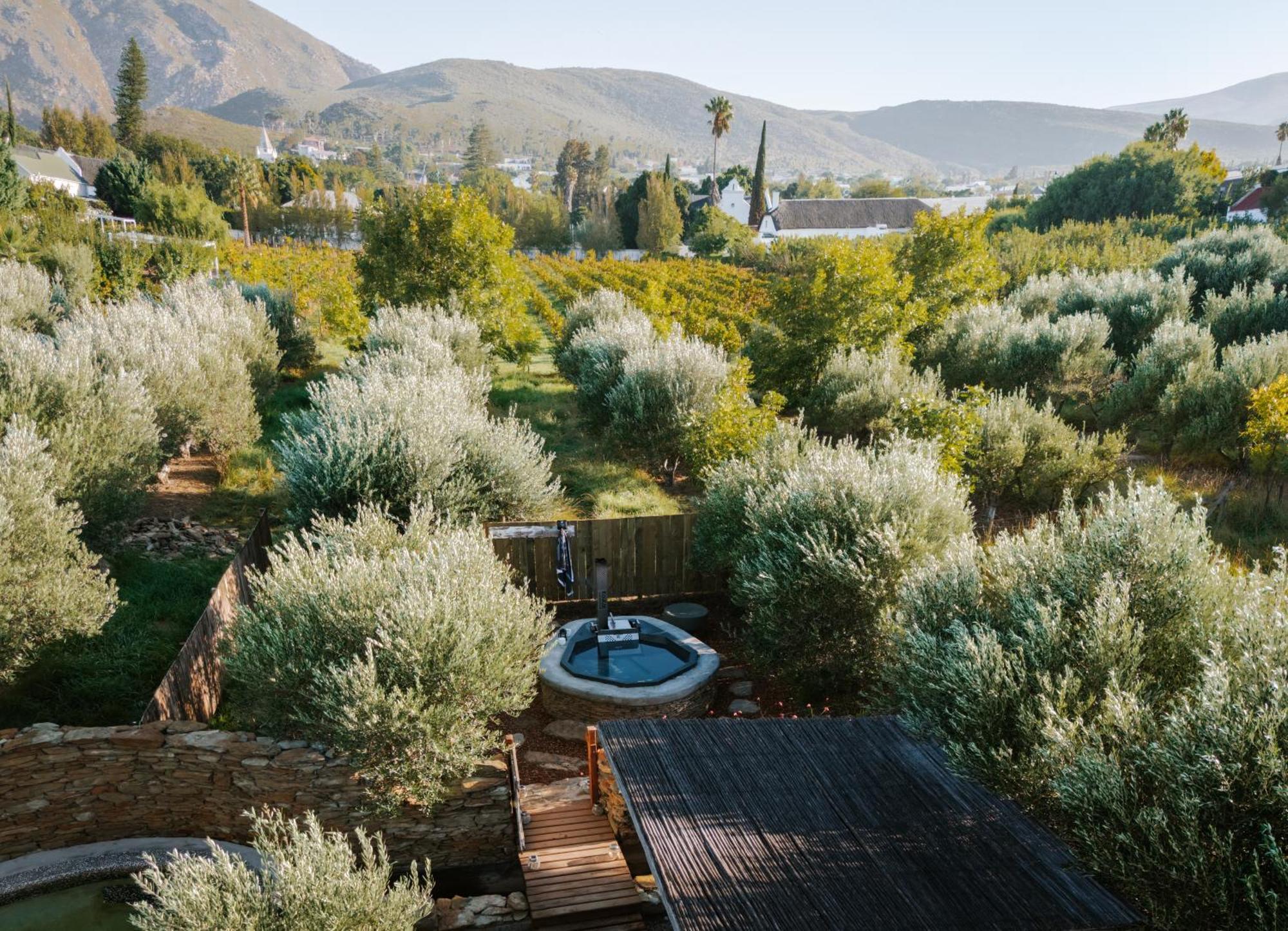 Olive Stone Farm Cottages Montagu Bagian luar foto